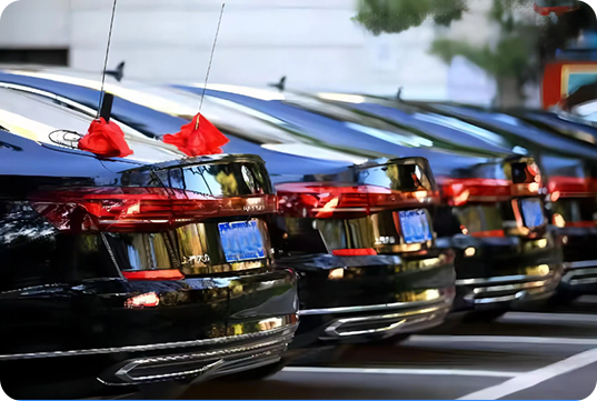 Government Vehicles