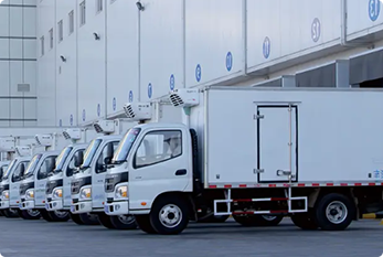 Cold Chain Logistics